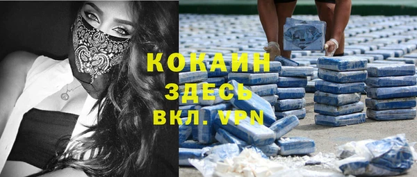 твердый Новодвинск