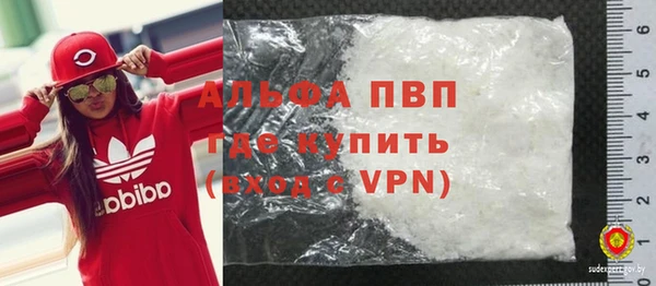 твердый Новодвинск