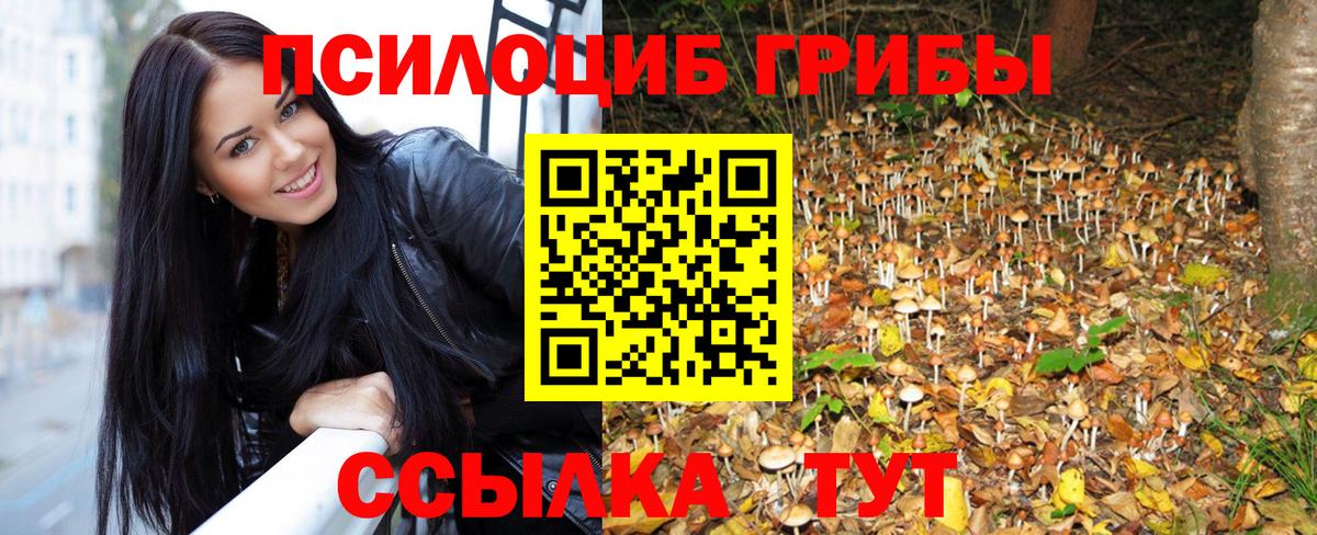 Канаш  Псилоцибиновые грибы Cubensis  Вход с VPN 