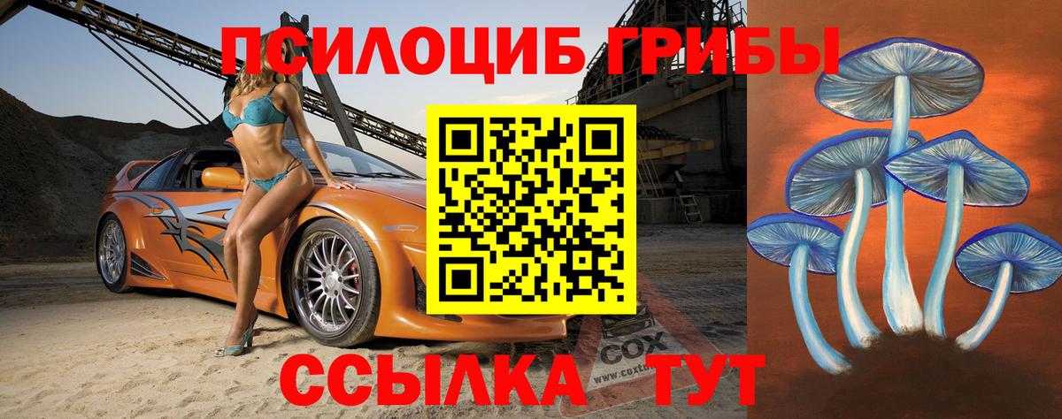 Псилоцибиновые грибы Psilocybe  Канаш 