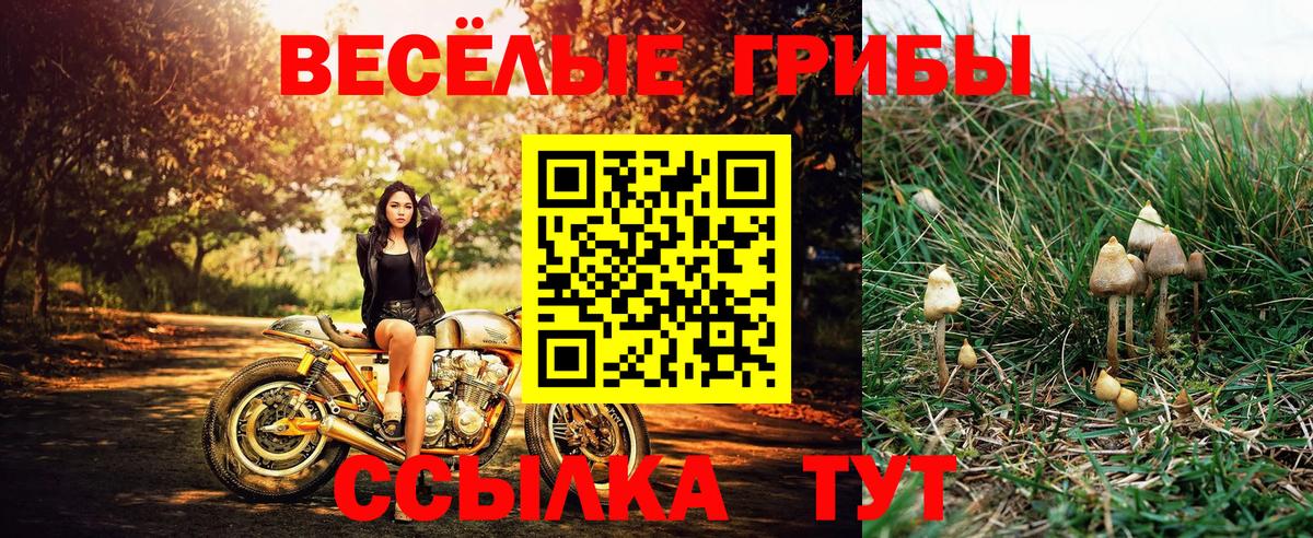 Канабис  Кокаин  Канаш  Конопля  MDMA  Alpha-PVP  КОКАИН  Вход с VPN  Мяу-Мяу 