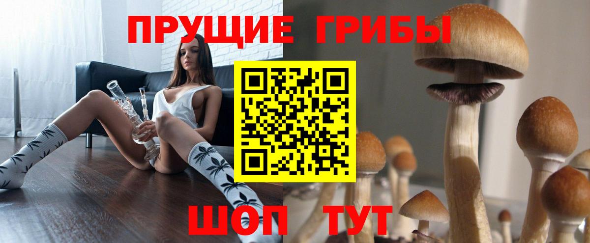 Галлюциногенные грибы GOLDEN TEACHER Канаш